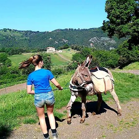 La Landuccia *